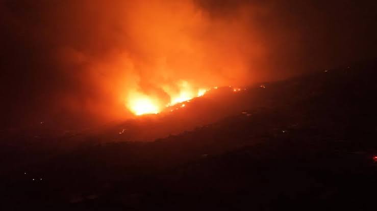 Kocaeli’de korkutan alevler: Sanayi Bölgesi yanında orman yangını!