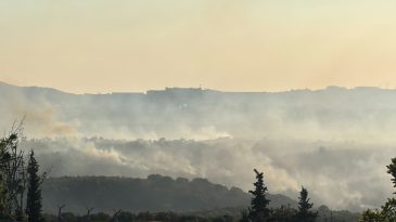 Kocaeli’deki orman yangını havadan görüntülendi