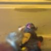 Kocaeli’de kaza: 1 ölü