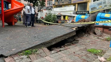 İzmit’te fırtına ağacı kökünden söktü
