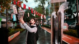 Kocaeli’de ağaçlar yeniden kitap açtı: 5 bin kitap saniyeler içinde toplandı