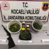 Karamürsel’de jandarma operasyonu: Kilolarca esrar ve ruhsatsız tüfek ele geçirildi
