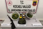 Karamürsel’de jandarma operasyonu: Kilolarca esrar ve ruhsatsız tüfek ele geçirildi