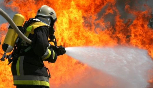 Kocaeli’de yangın! Hayvanlar telef oldu