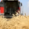 Türk gıda devi iflas etti!