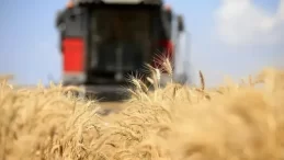 Türk gıda devi iflas etti!