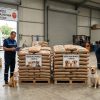 İzmit Belediyesi hayvan bakımevine 9 ton mama alacak