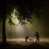 Robot köpekli fotoğrafla birinci oldu! 50 bin TL’lik ödül Kocaeli’ye geldi
